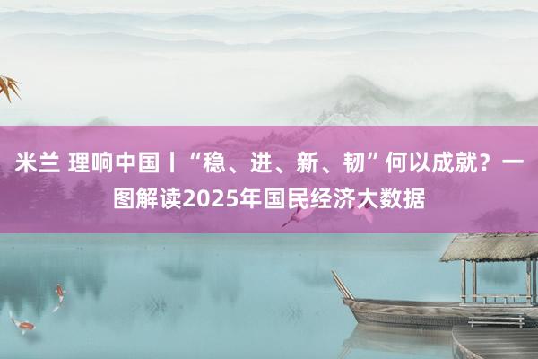 米兰 理响中国丨“稳、进、新、韧”何以成就？一图解读2025年国民经济大数据