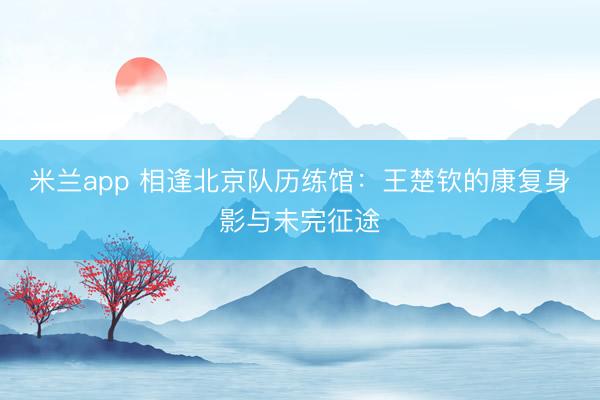 米兰app 相逢北京队历练馆：王楚钦的康复身影与未完征途