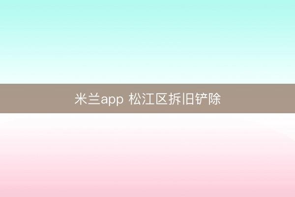 米兰app 松江区拆旧铲除